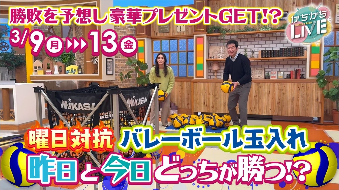 曜日対抗バレーボール玉入れ