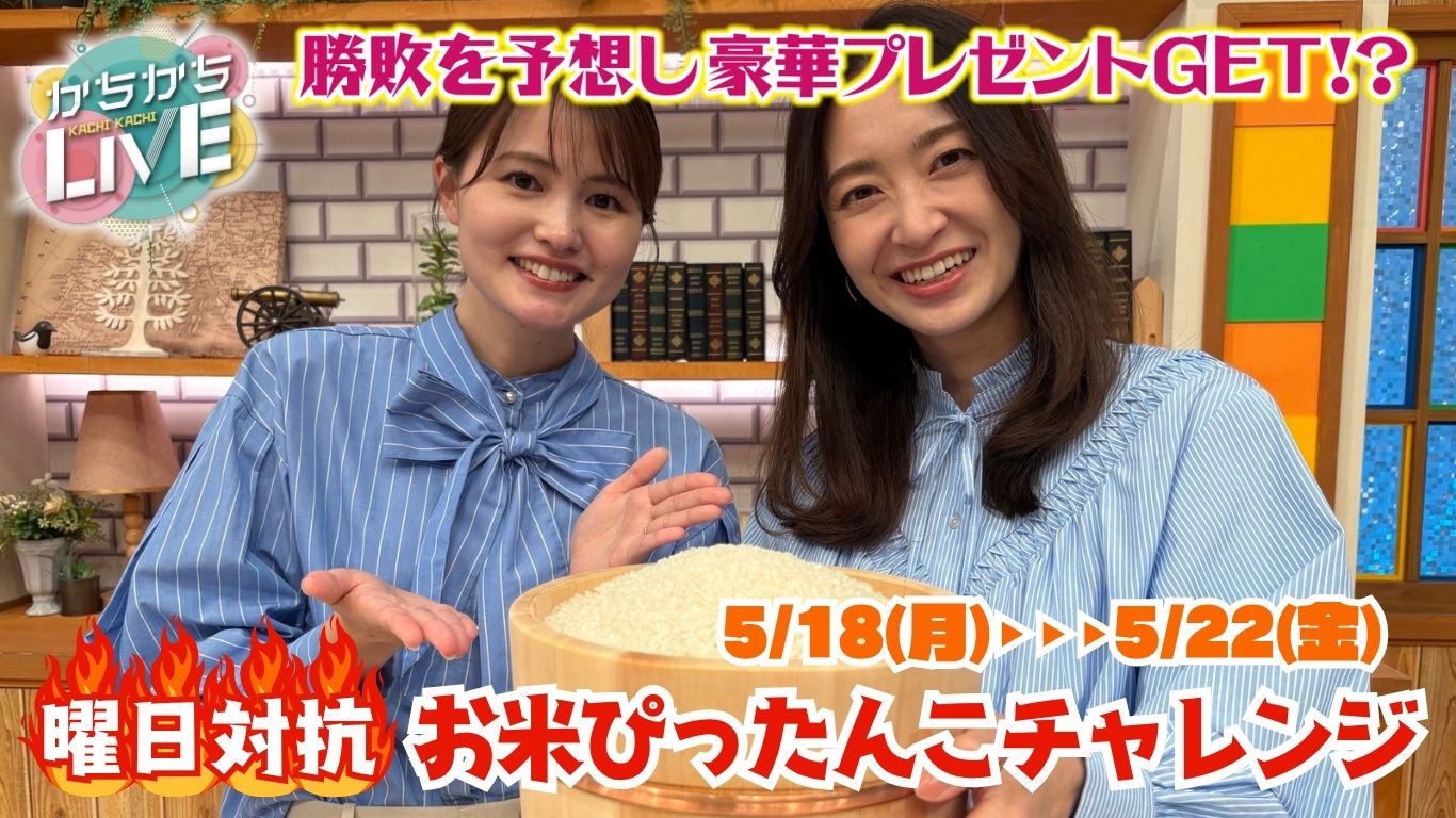 曜日対抗お米ぴったんこチャレンジ