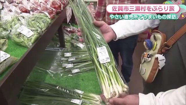 ネギ