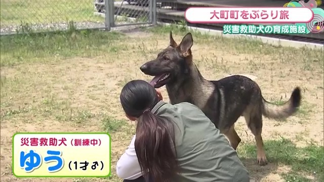 ゆうくん