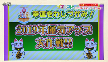 幸運をわしづかみ!2019年運気アップ大作戦!!