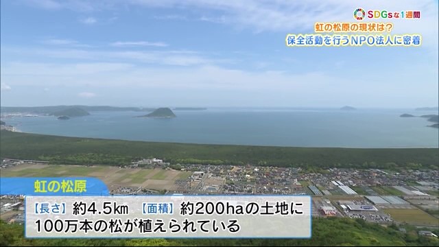 虹ノ松原の理想の姿を守る活動とは？ NPO法人「唐津環境防災推進機構KANNE」