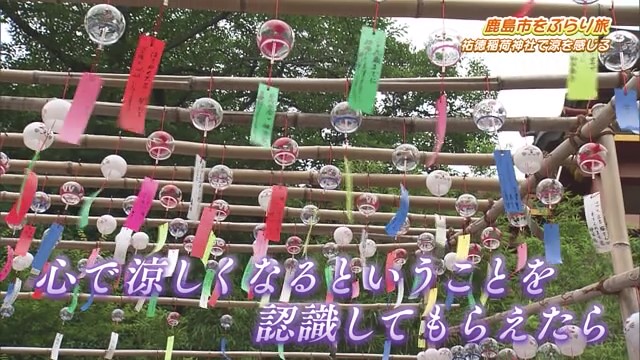 祐徳稲荷神社で涼を楽しむ 願い込めた風鈴たち