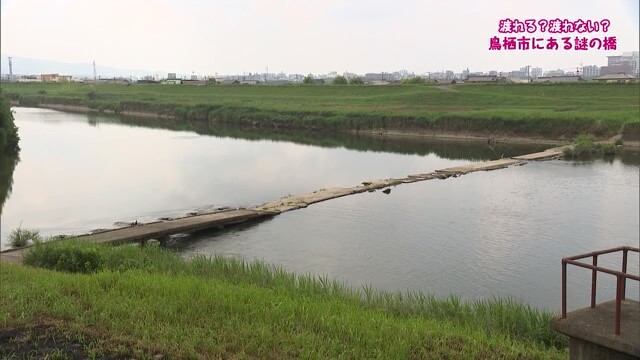 みんなが気になってたアノ場所かも？鳥栖市の謎の橋と川副町の謎の丘