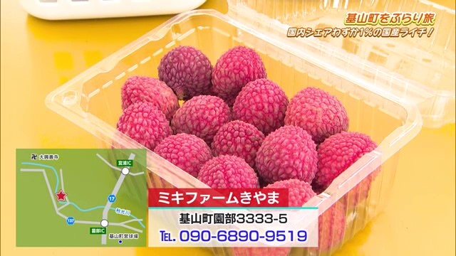 糖度18度？ 国内シェア1％ 国産ライチのつみとり体験「ミキファームきやま」