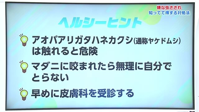 嫌な虫さされ　知ってて得する対処法！