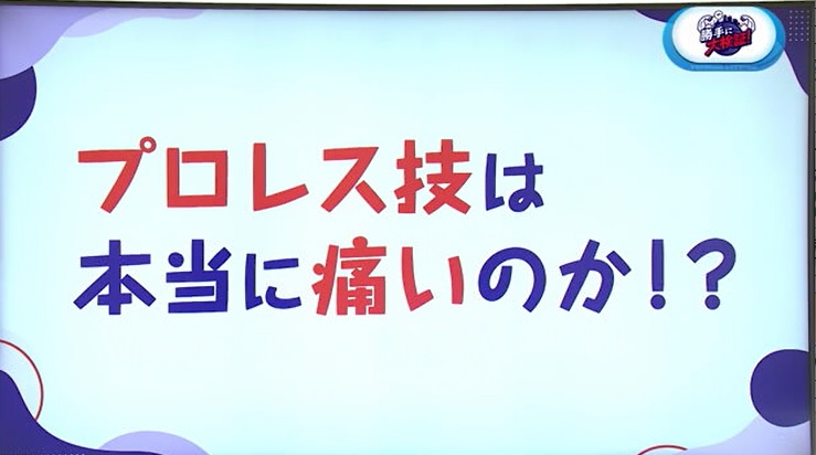 プロレス技は本当に痛いのか!?検証してみました！