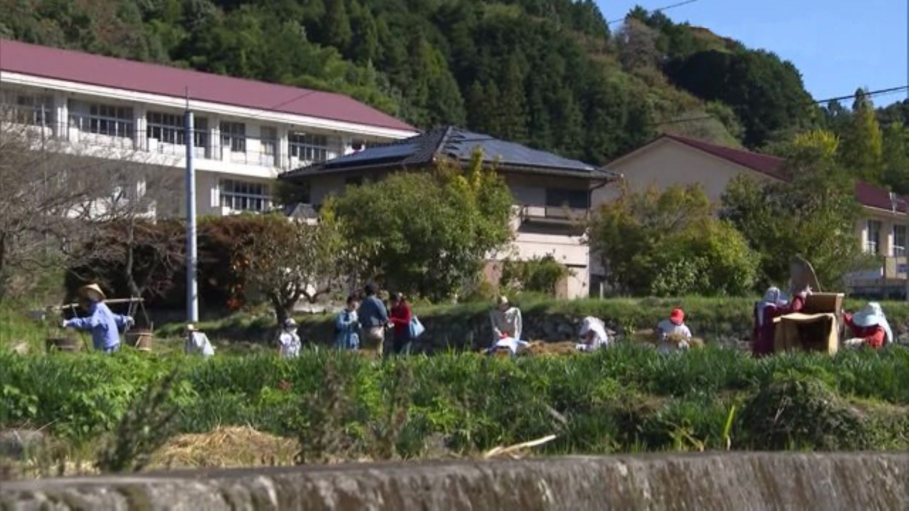 大和町の中山間地であるものが大量発生！？その正体とは！