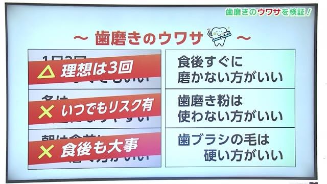 歯磨きに関するウワサは本当？正しい歯磨きについて教えてもらいました！Part.2