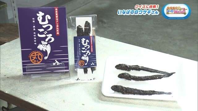 むつごうろうを全国に 有明海の魅力を発信！「川田食品」