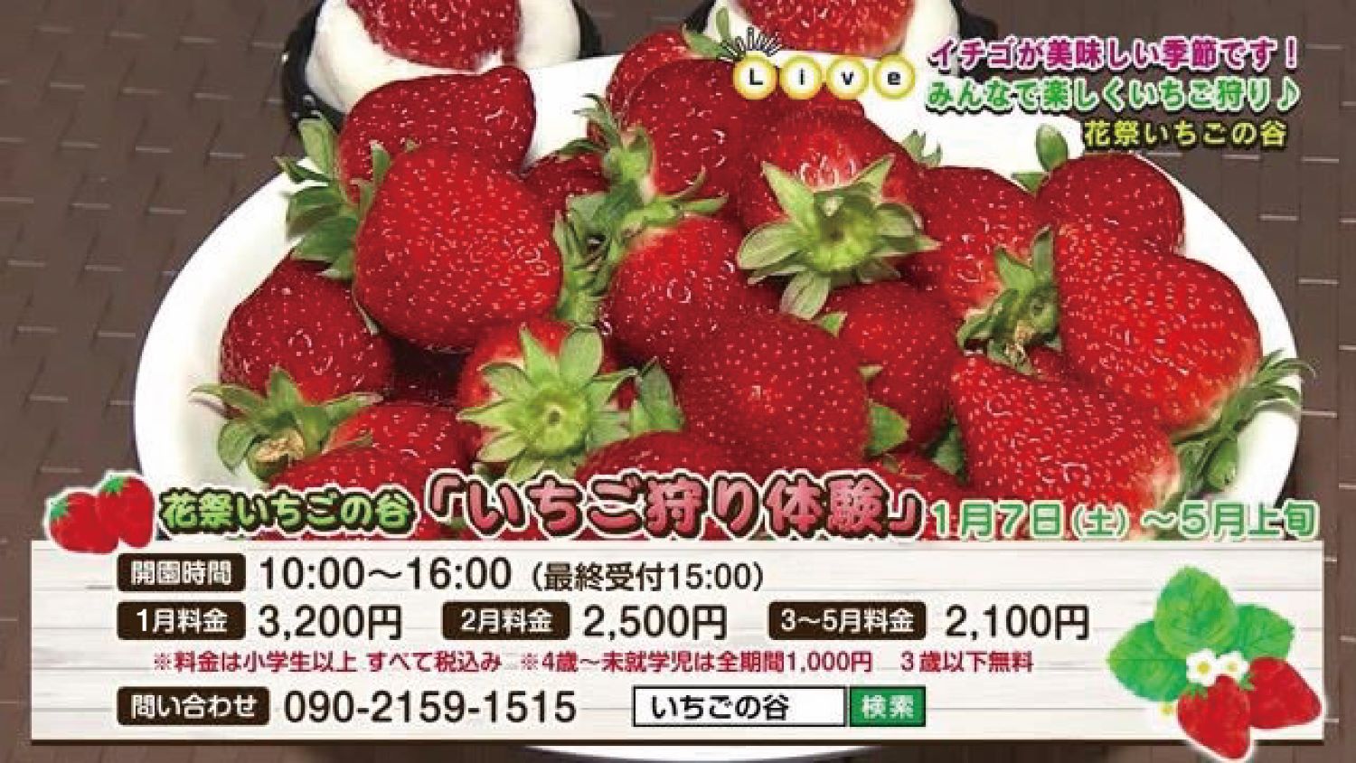 みんなで楽しくいちご狩り♪「花祭いちごの谷」