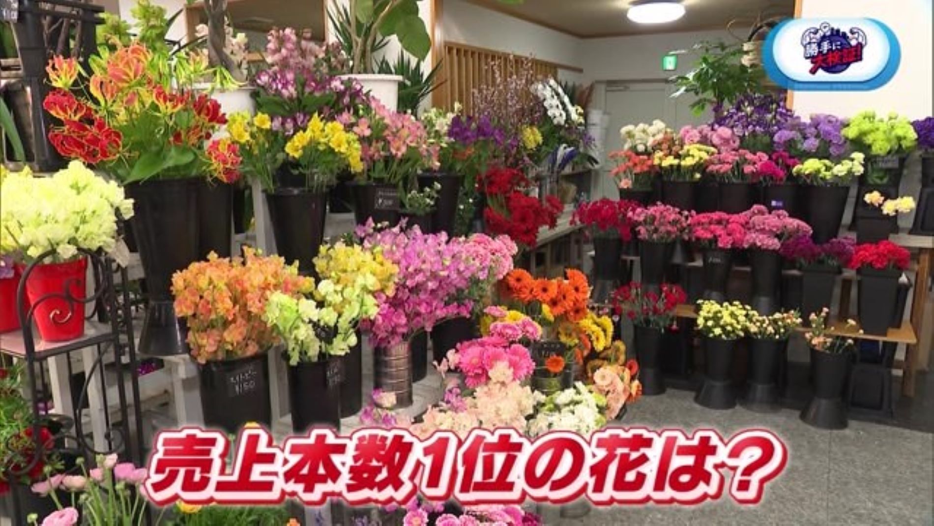 花屋で売り上げ本数1位の"花"を当てるまで帰れま10(テン)「渡辺花屋」