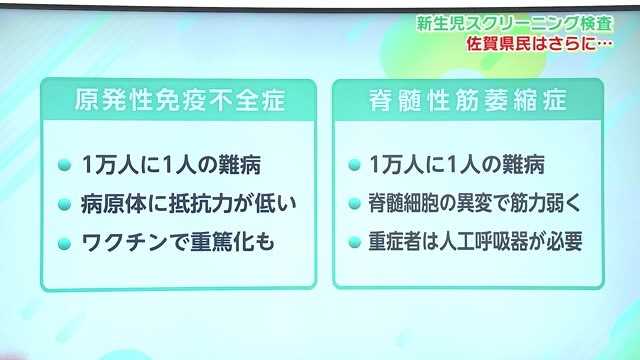 新生児スクリーニング検査の「原発性免疫不全症」と「脊髄性筋萎縮症」とは