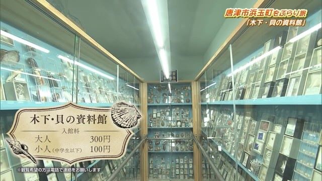 趣味で集めた５万種類以上の貝を展示！唐津市浜玉町「木下・貝の資料館」Part.1