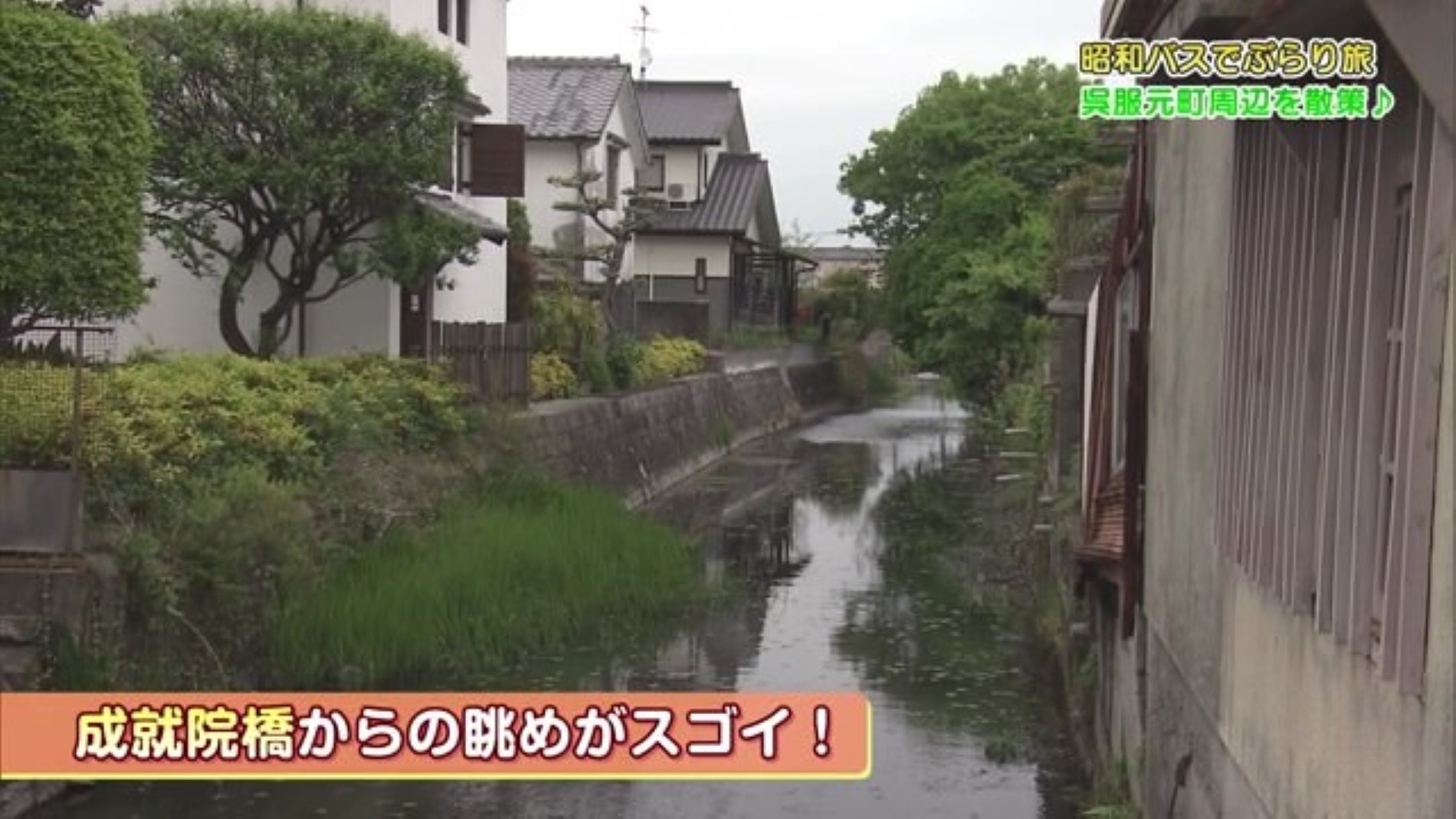 樹齢600年の大きなクスノキ 貴重な恵比須が鎮座する 佐賀市呉服元町にある「八坂神社」