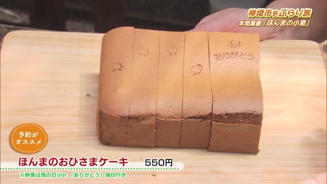 ふわしゅわ食感ケーキ！プリンマップにも掲載されたプリンも 神埼市脊振町「本間農園 ほんまの小窓」Part.2