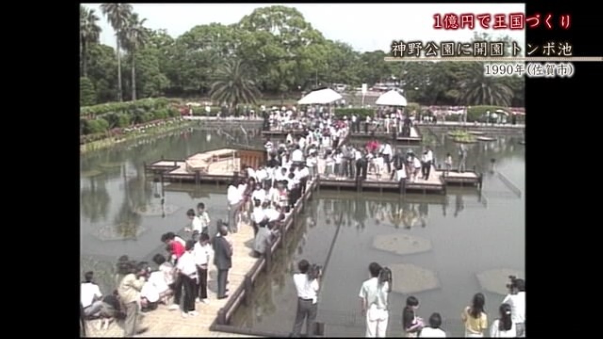 あの日へ時間旅行 神野公園に開園「トンボ池」【1990年・2022年】