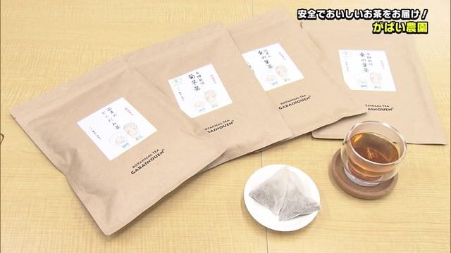 安全・おいしさにこだわったお茶を製造！佐賀市諸富町「がばい農園」