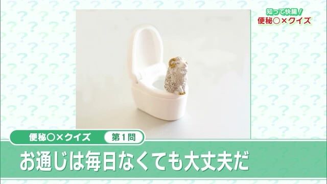 自分って便秘？トイレでの正しい姿勢など知って快腸！「便秘 〇×クイズ」