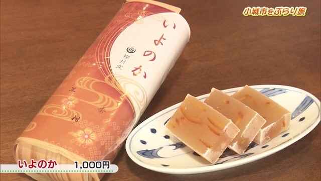 カブトムシなどの型抜き羊羹！羊羹の自販機も設置！小城市「桜月堂」Part.2