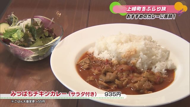 お肉とカレーがオススメ！上峰町の住宅街にある「グリル食堂 みつばちの休日」