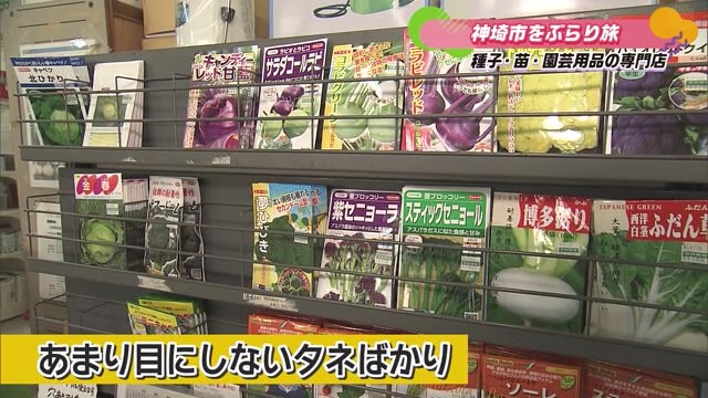 ここに来れば何かある!?珍しい種子・苗・園芸用品の専門店「百田種苗農材」