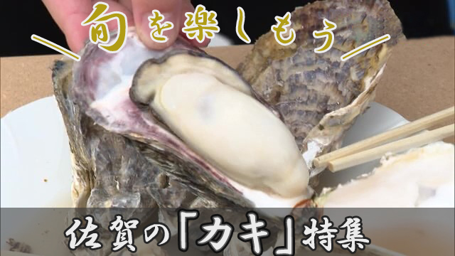 【特集】旬を楽しもう！佐賀の「カキ」特集（太良町・伊万里市・多久市）