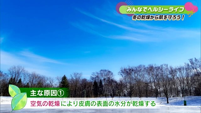 冬の季節は肌がカサカサに…「冬の乾燥から肌を守ろう！」