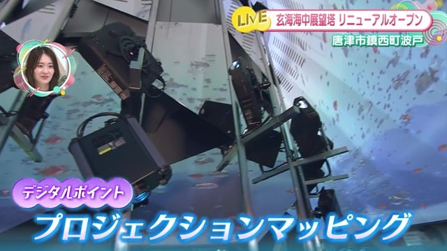 海の中にいるような没入体験…！リニューアルオープンした唐津市「玄海海中展望塔」