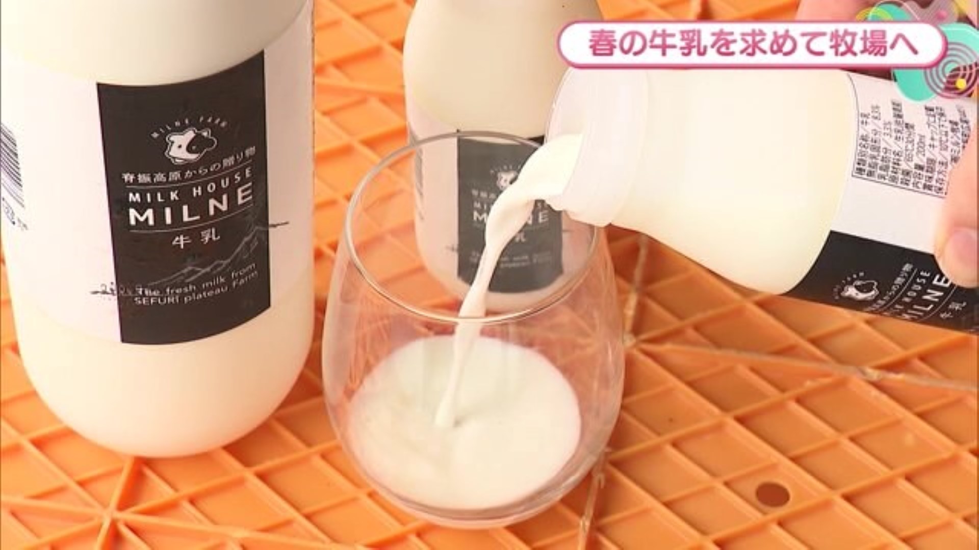 春のおいしい牛乳でホッと一息！濃厚なソフトクリームも販売 佐賀市「ミルン牧場」