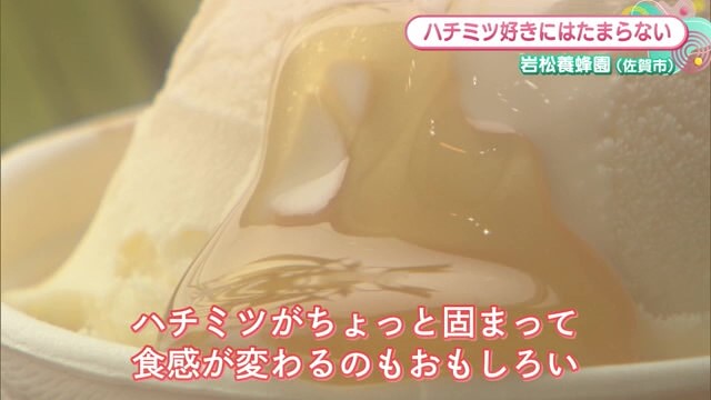 ハチミツかけ放題のジェラートがいただける 佐賀市「岩松養蜂店」