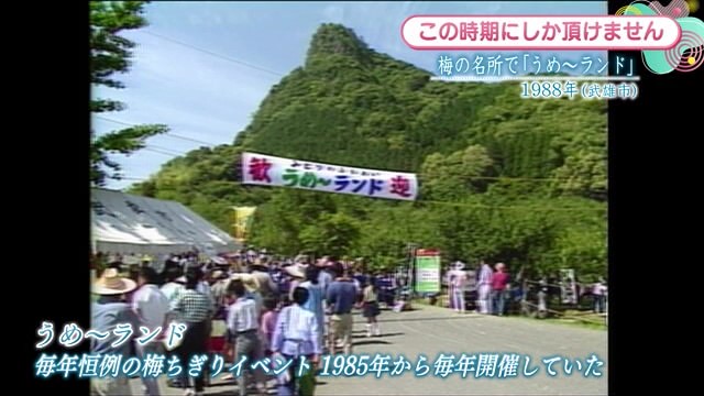 時間旅行EXPRESS 梅の名所で「うめ～ランド」武雄市【1988年】