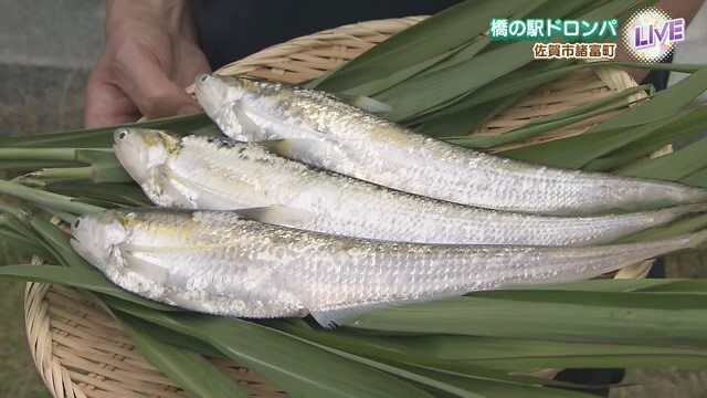 この時期にしか味わえないエツ料理！佐賀市諸富町の風物詩「えつ銀色祭り」「えつフェス」