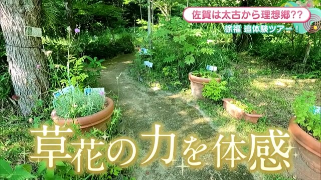 薬草の種類や歴史を学べる施設 佐賀市「佐賀市徐福長寿館・薬用植物園」