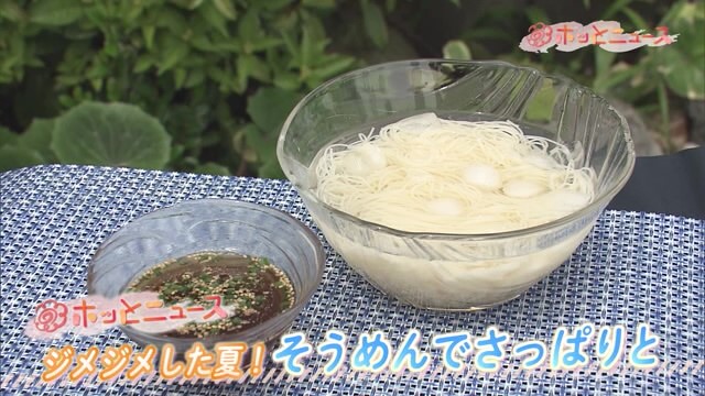 ジメジメした夏！そうめんでさっぱりと そうめん作りを見学「中原製麺工場」【佐賀県神埼市】