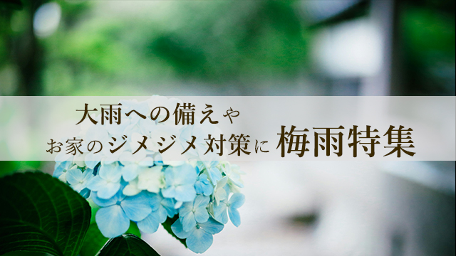 【特集】大雨への備えやお家のジメジメ対策に 梅雨特集