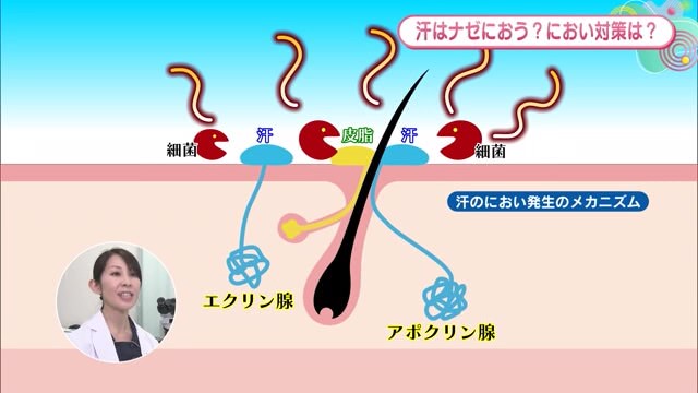 汗のにおい対策！なぜ汗がは臭い？メカニズムと対処法をご紹介