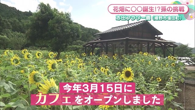 「祖父母の花畑を守りたい」志田フラワー園内にカフェオープン！オーナーはフランスで修業「Ensoleille」【佐賀県嬉野市】