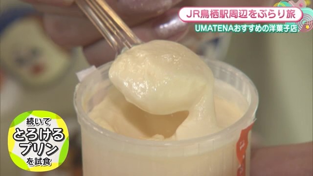 口の中でとろっとろに"とろけるぷりん"！「ポアソン洋菓子店」【佐賀県鳥栖市】