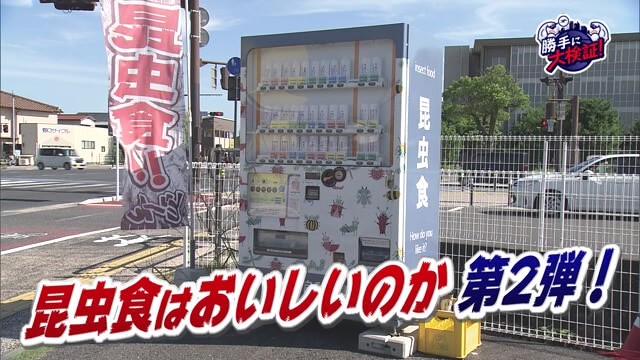 【※閲覧注意】昆虫食はおいしいか検証！「チャグロサソリ・タランチュラ・オケラ」