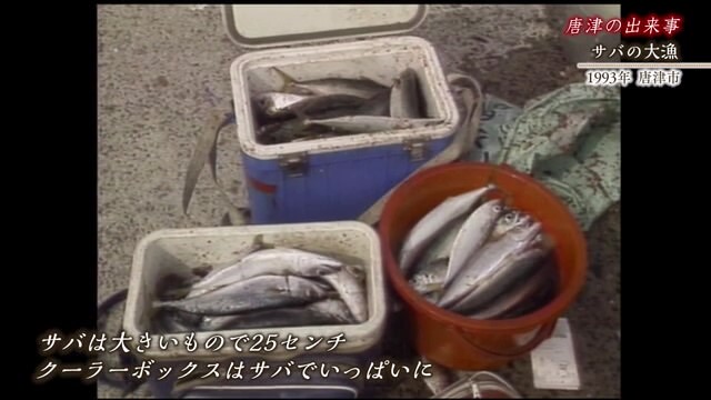 佐賀時間旅行 唐津市 サバの大漁【1993年】