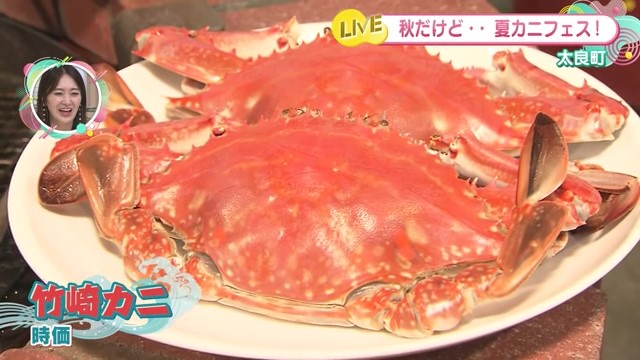 冬じゃなくても楽しめる竹崎カニ！カキ焼きも！ 太良町「おみやげ村」