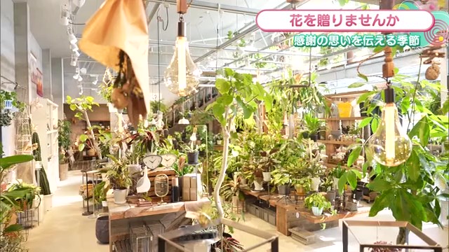 おしゃれなガーデニングアイテムからアパレルまで揃う 福岡県大川市「OASIS」