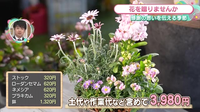 「感謝の気持ちを花に」自分で作る寄せ植え作り体験 佐賀市「だいいちえんげいセンター」