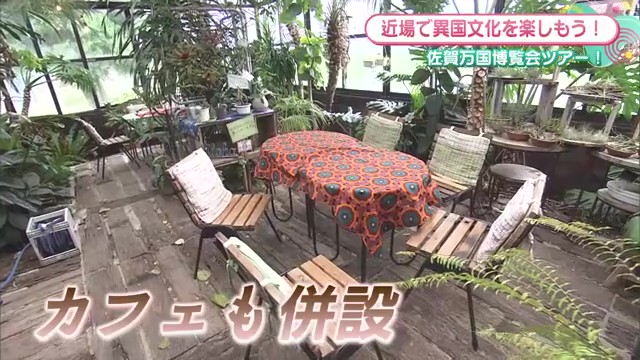 カフェも？異世界が広がる雑貨店 佐賀市「マライカバザール佐賀店」  
