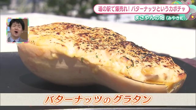 みやき町で話題の珍しい野菜！海外では定番「バターナッツ」の魅力に迫る