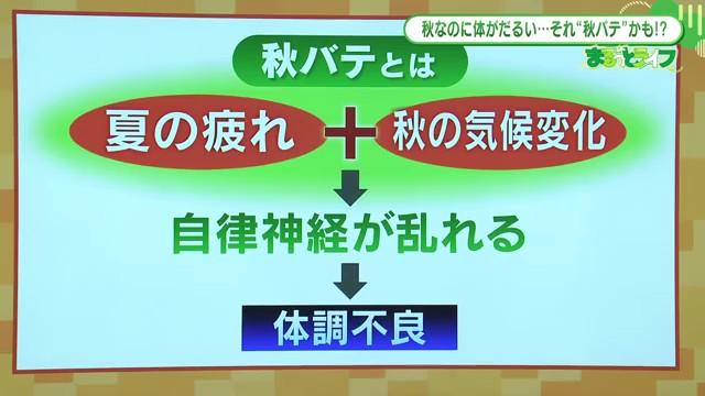 それって秋バテ？原因・対策 自律神経を整える4つの対策