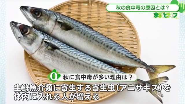 秋の食中毒に要注意！涼しくなった10月こそ危ない理由とは