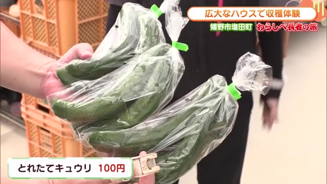 1袋100円！新米キュウリ農家が始めた直売所 嬉野市塩田町「forest fields25」