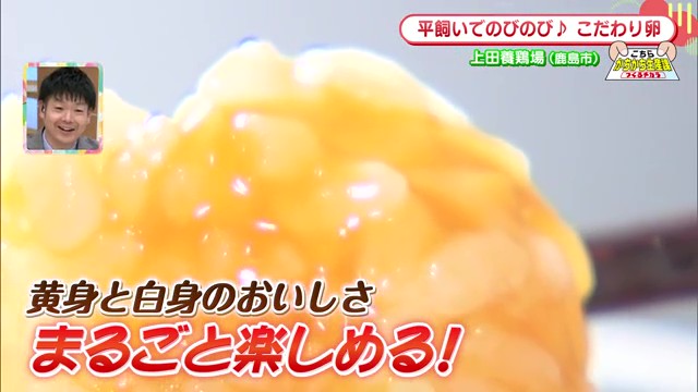 鹿島市「上田養鶏場」が作る極上卵と絶品マヨネーズ〜星付きレストランも認める味〜